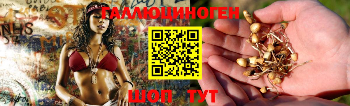Изобильный  как найти наркотики  Псилоцибиновые грибы Magic Shrooms  Вход с VPN  Галлюциногенные грибы Cubensis 