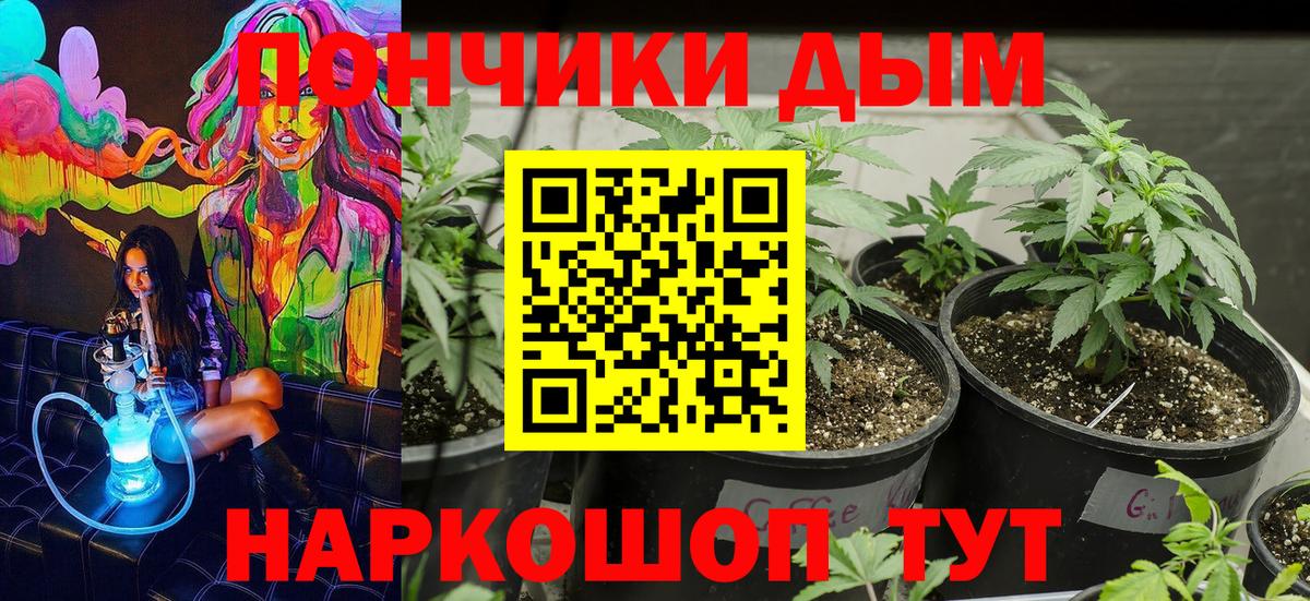 Конопля AK-47 Изобильный